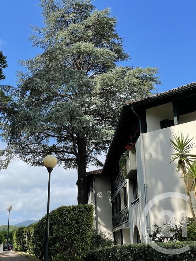 Afficher la photo en grand Appartement T1 à vendre - 1 pièce - 33.72 m2 - CIBOURE - 64 - AQUITAINE - Century 21 Belharra