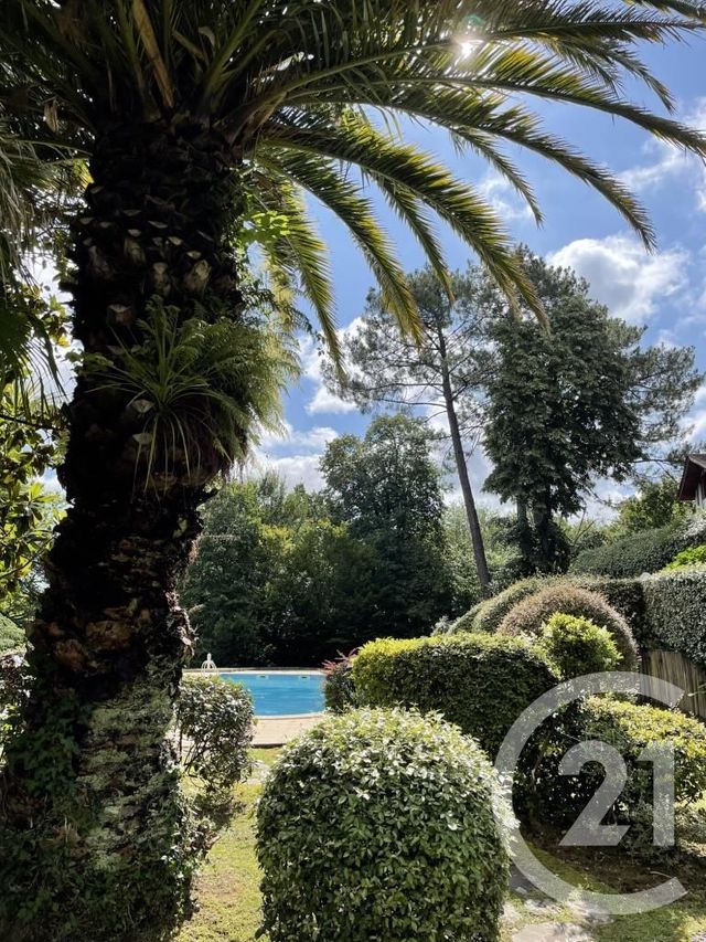 Afficher la photo en grand Appartement T1 à vendre - 1 pièce - 33.72 m2 - CIBOURE - 64 - AQUITAINE - Century 21 Belharra