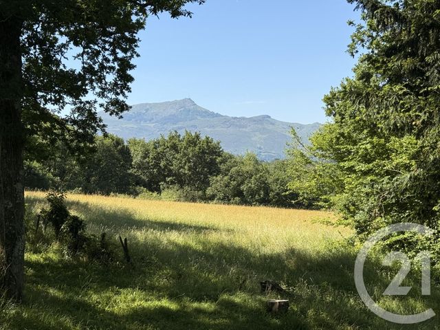 maison à vendre - 6 pièces - 120.0 m2 - ST PEE SUR NIVELLE - 64 - AQUITAINE - Century 21 Belharra